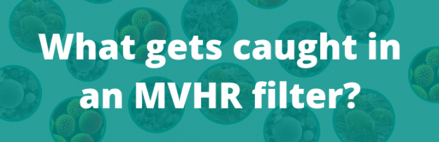 What gets caught in an MVHR Filter